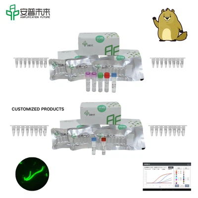 Výzkum soupravy na detekci fluorescence Mira Yersinia pestis caf1